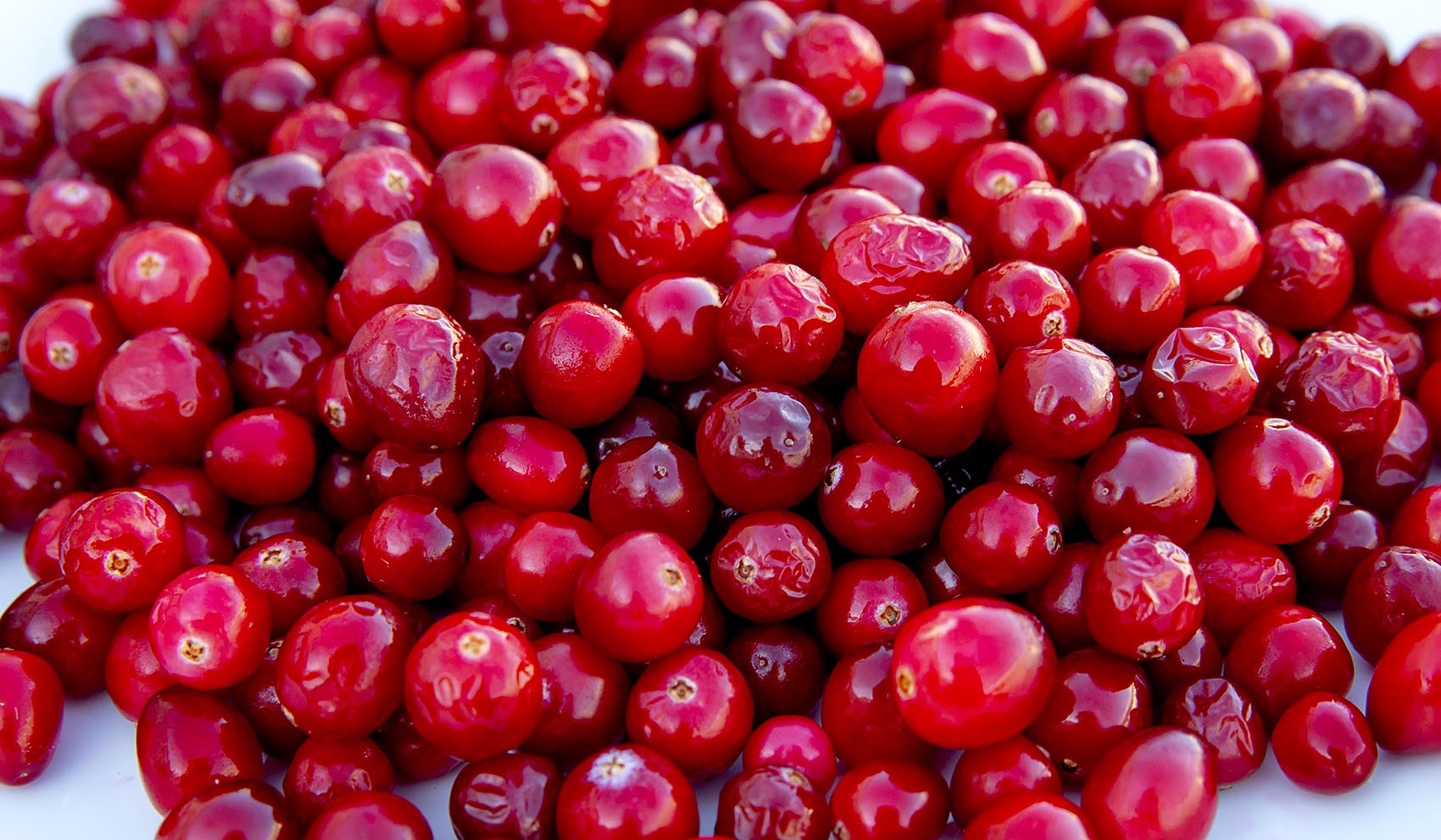 Health benefits of Cranberry